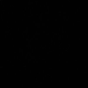 Meet your Posher, Charles